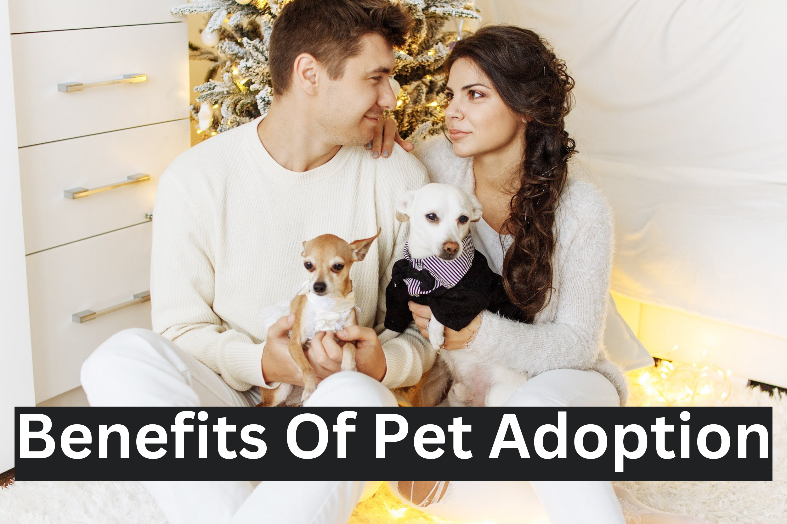 Benifits Of Pet Adoption