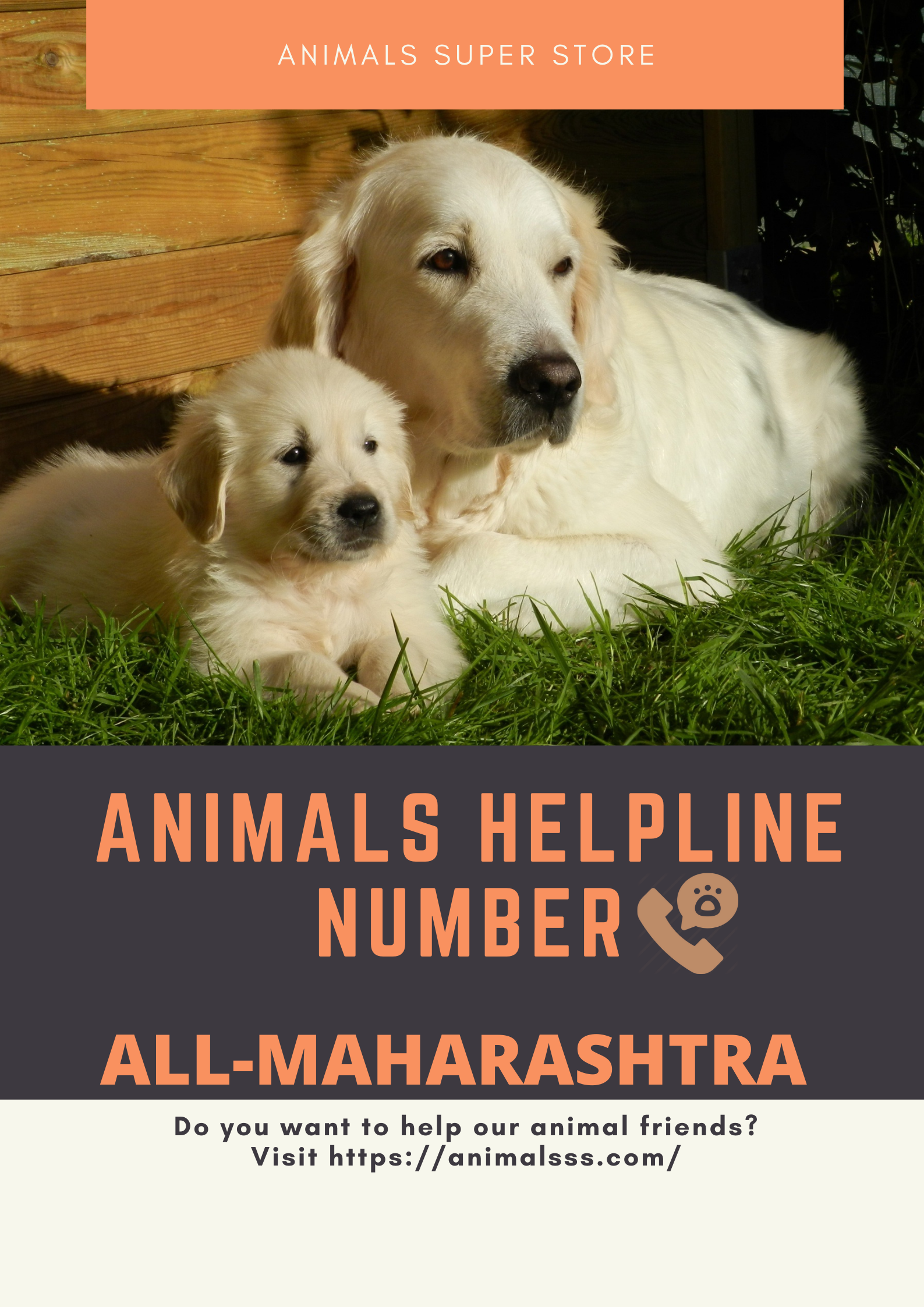 Animals Helpline In Maharashtra