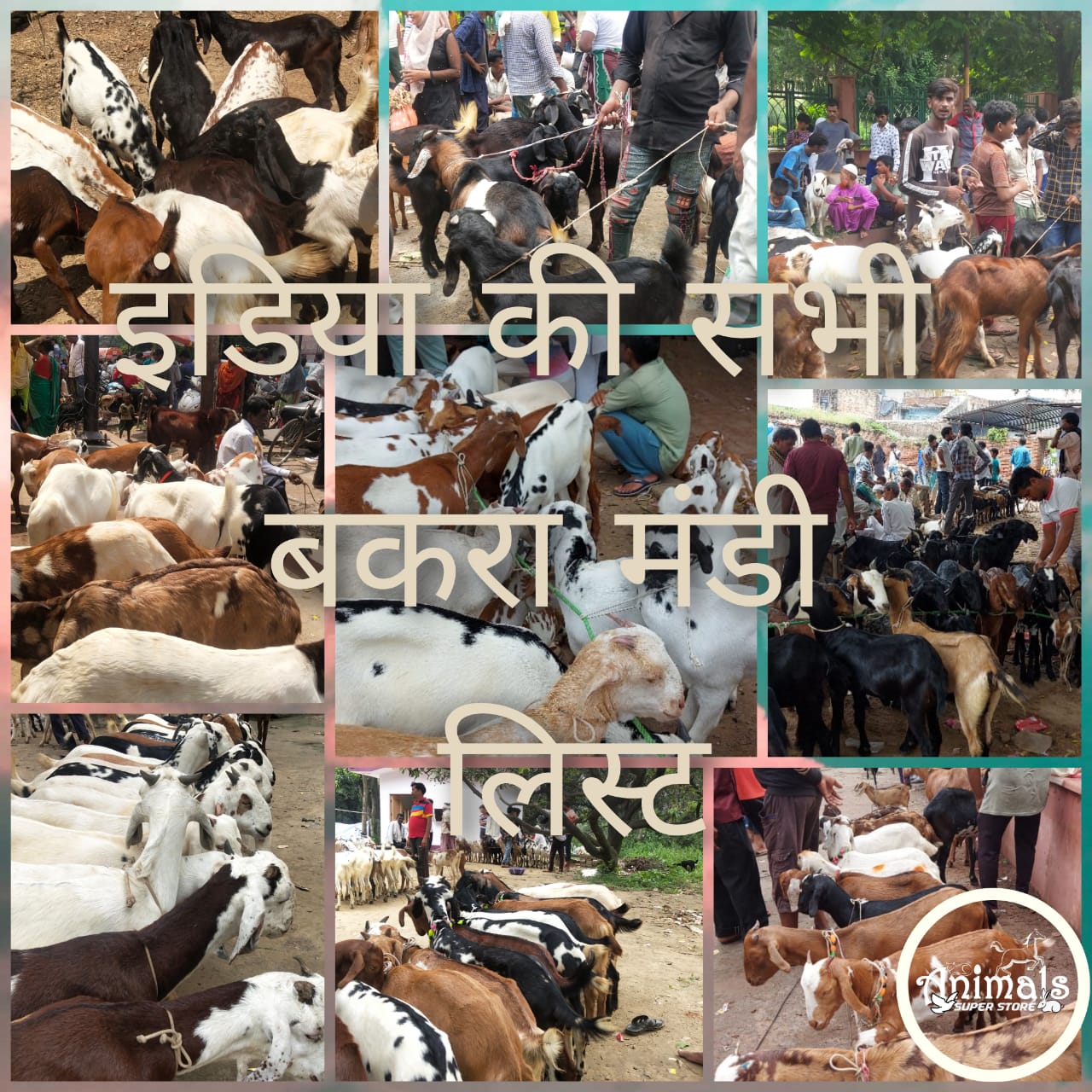 इंडिया की सभी बकरा मंडी लिस्ट