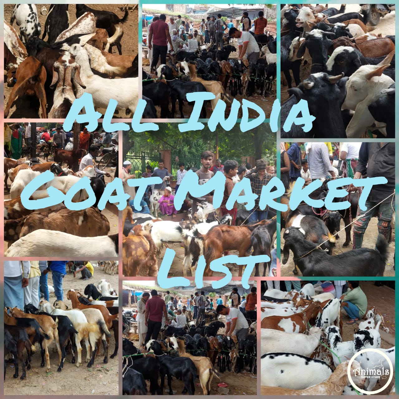 Bakra Mandi List