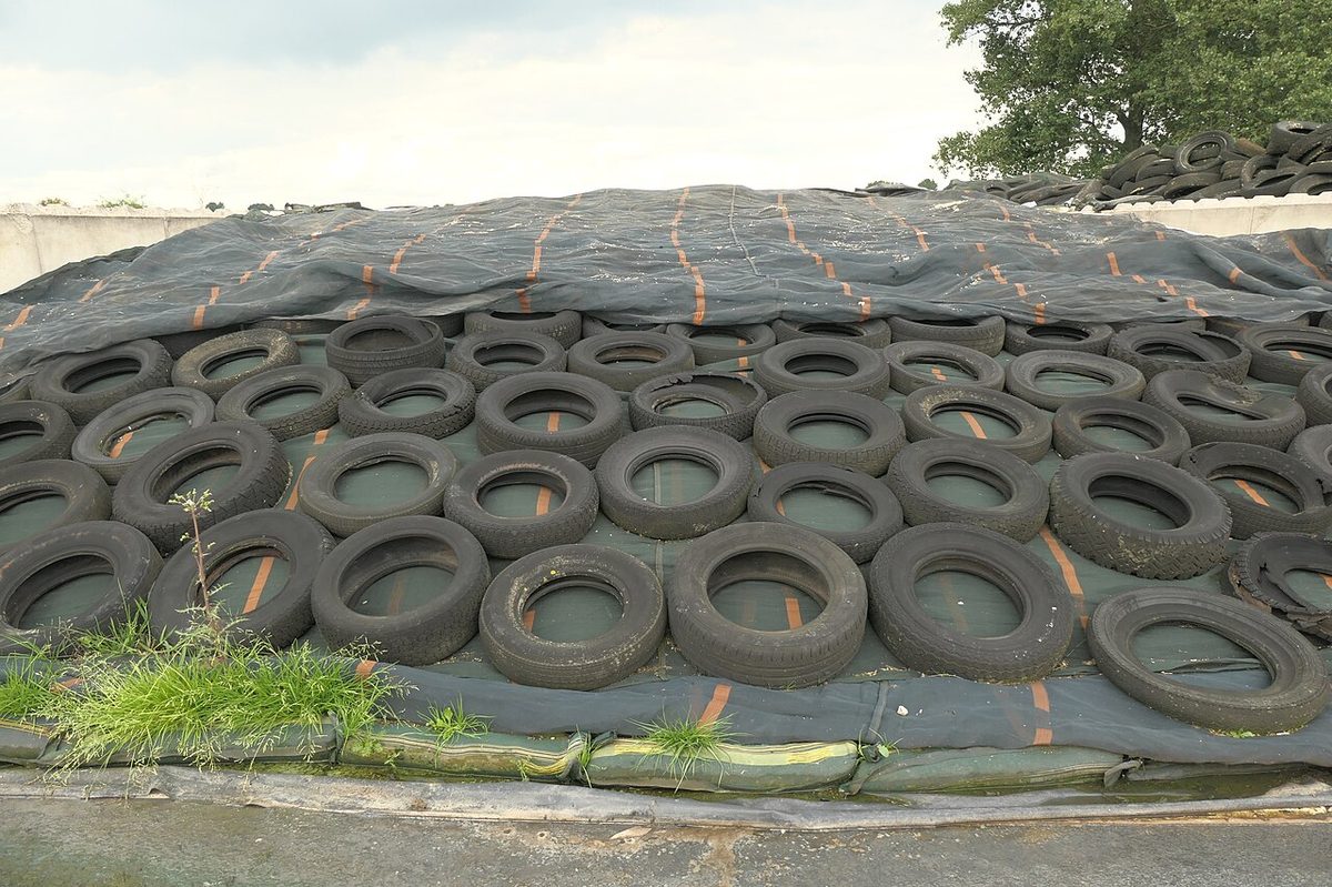 Kalkar-Bylerward Silage PM230828 01