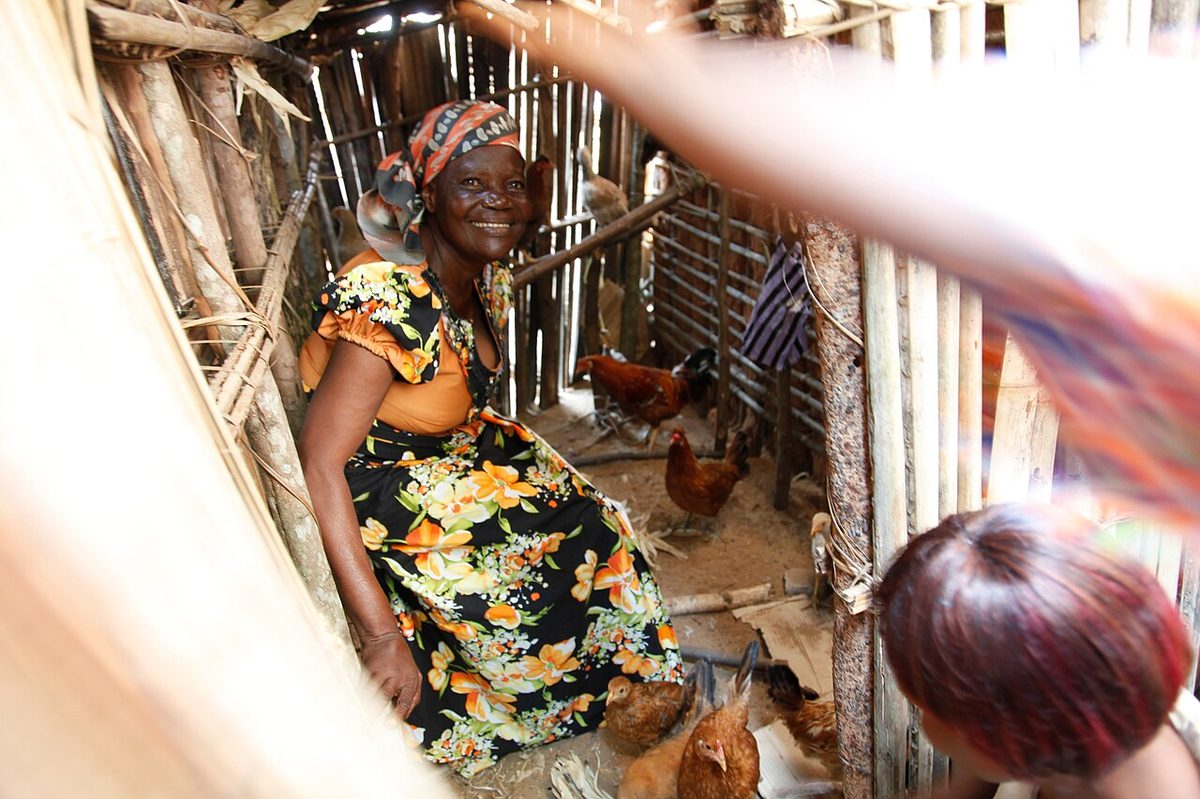A chicken and egg story tackling malnutrition in DRC