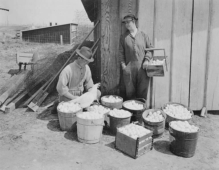 Edward and Jenny Gyldenfelt standing with buckets of eggs, Alderwood Manor, Washington, ca 1925 (WASTATE 1777)