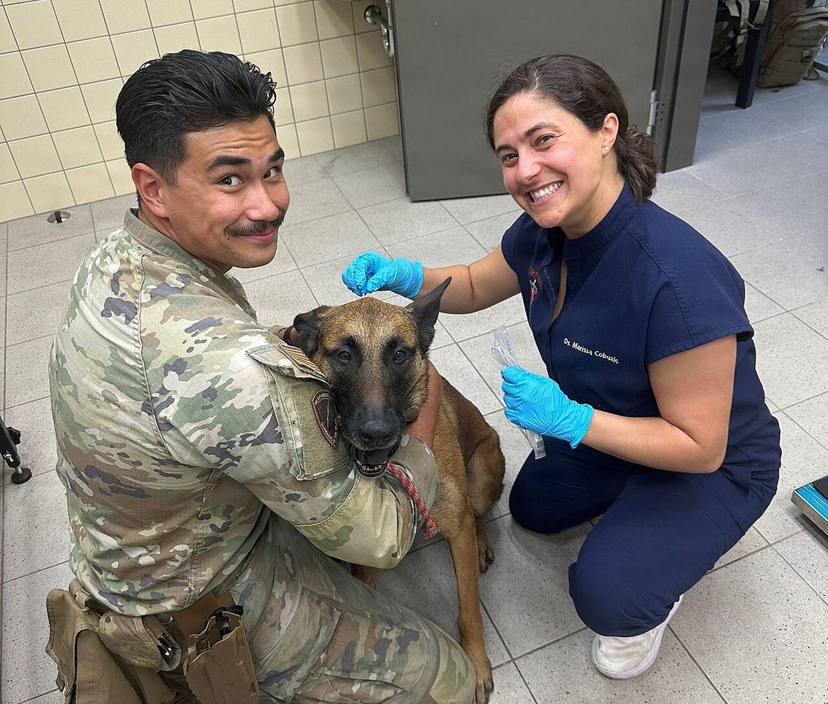 Operational Collaboration Effort Between WRAIR-EME and VMCE on AMR Surveillance in U S MWDs