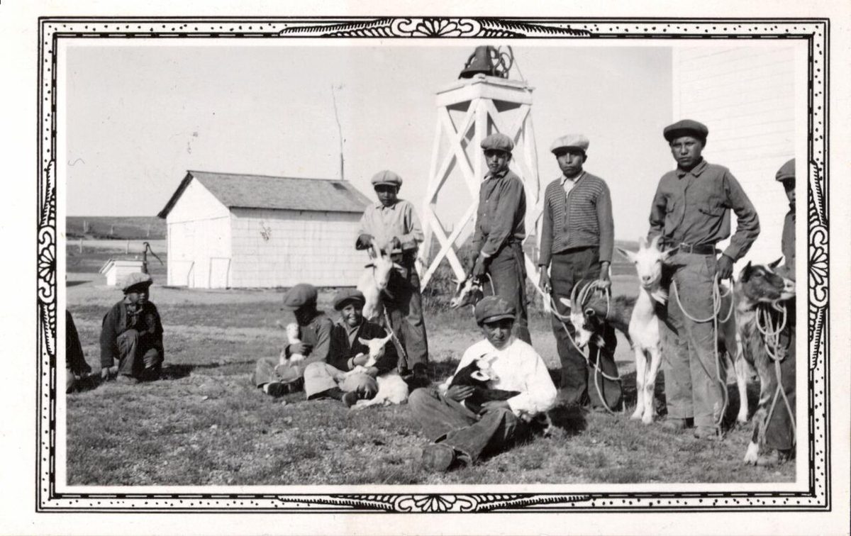 Ufugaji wa Mbuzi wa Nyama Kenya: Anza Vipi na Upate Faida