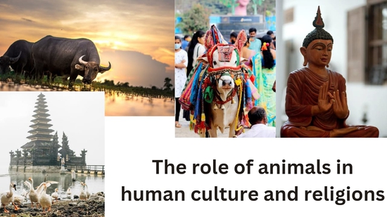 The role of animals in human culture and religions