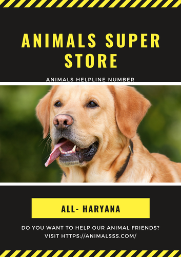 Animals Helpline In Haryana