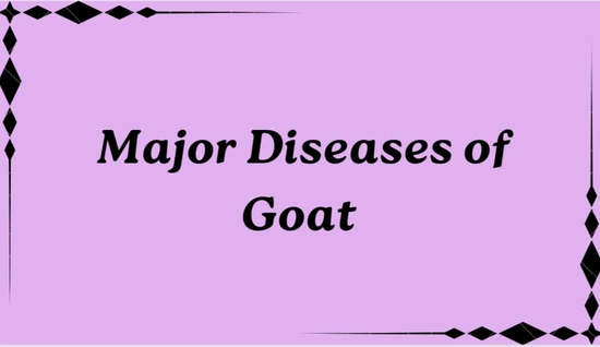 Major Diseases In Goats