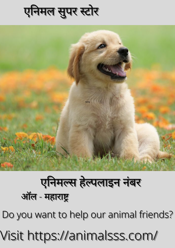 महाराष्ट्र पशु हेल्पलाइन