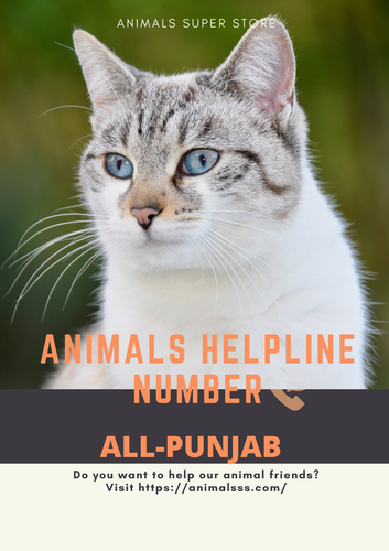 Animals helpline In Punjab