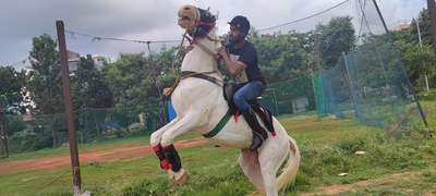ahmed Syed