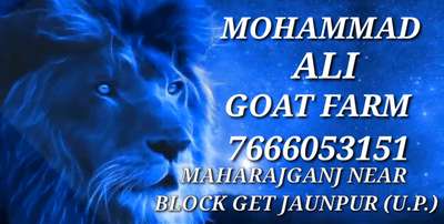 Iam7666053151