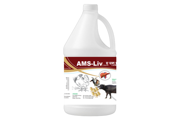 ए एम एस लिव ( लिवर टॉनिक लिक्विड ) — 1 Liter liquid, wholesale
