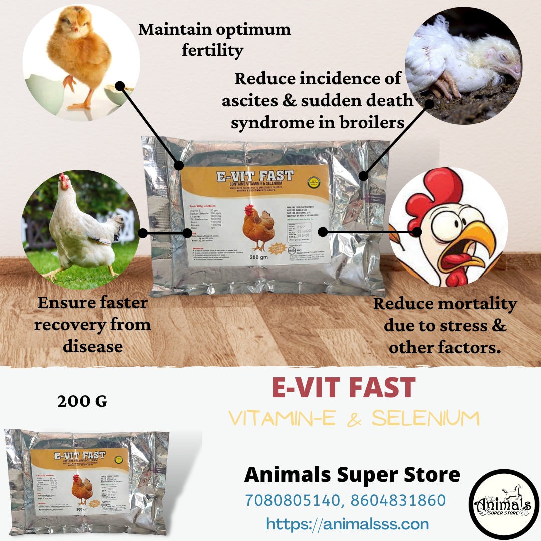 E-Vit-Fast ( Vitamin )
