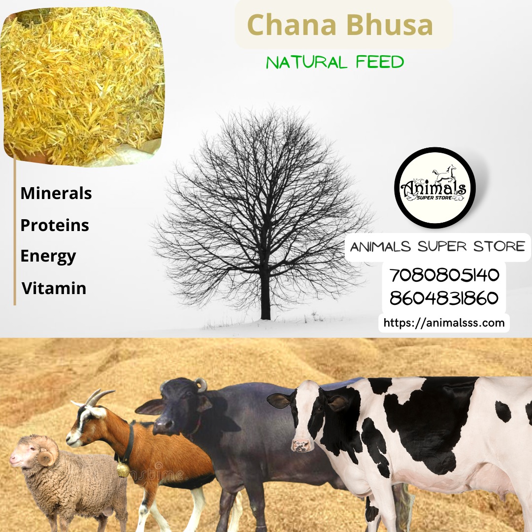 Chana Bhoosa