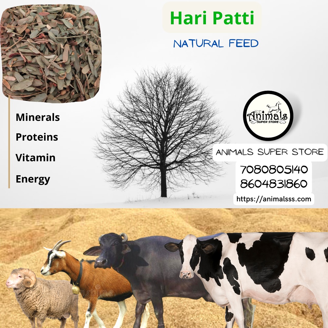 Hari Patti for Goats