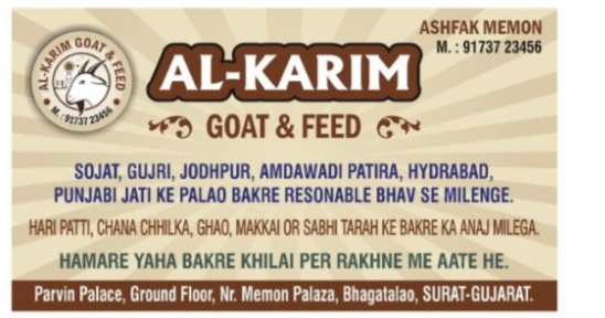 al karim goat — photo 2