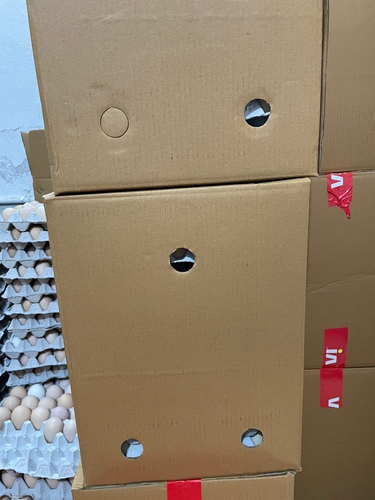 Egg desi — photo 4