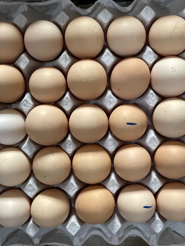Egg desi — photo 2