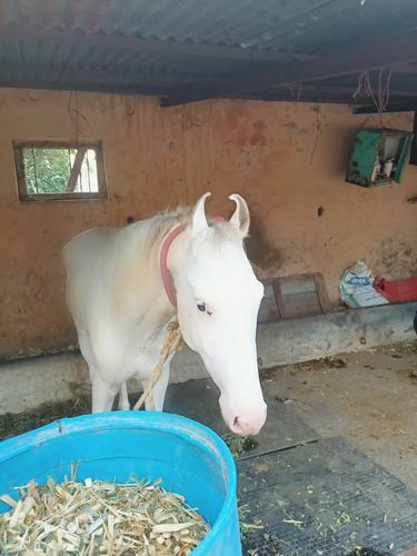Owner name, Pravin jadhav — photo 6