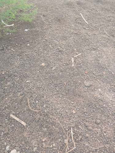 Lendi khad Available for field — photo 2