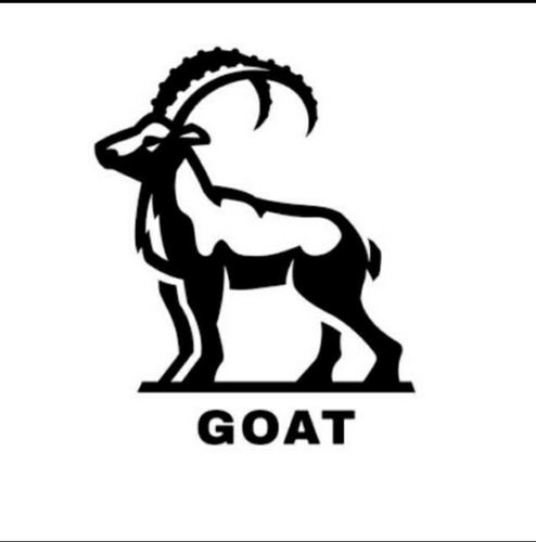 Goat farming — photo 2