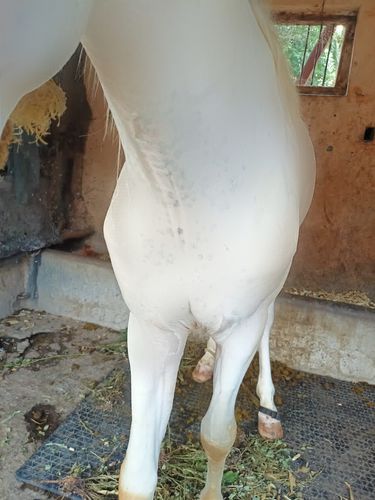 Owner name, Pravin jadhav — photo 5