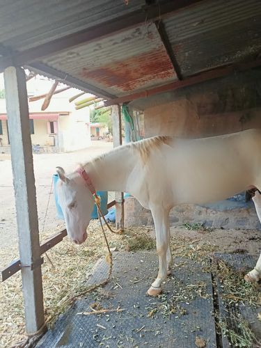 Owner name, Pravin jadhav — photo 2