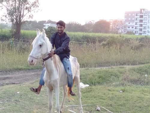 Sindhi+kathi mix vachera — photo 4