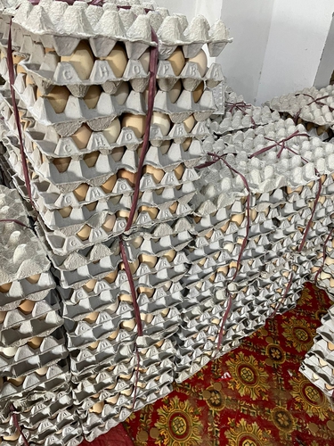 Egg desi — photo 3