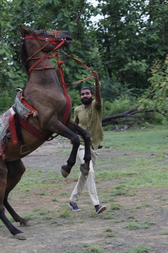 Nana Zinzavadar.vijay satiya — photo 3
