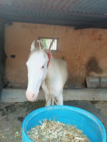 Owner name, Pravin jadhav — photo 4