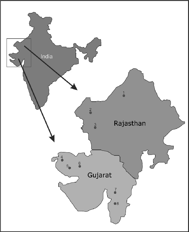 Kota Gat Found