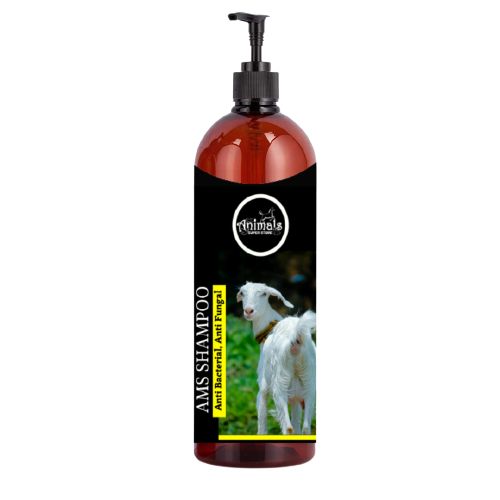 shampoo