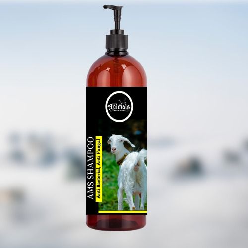 shampoo