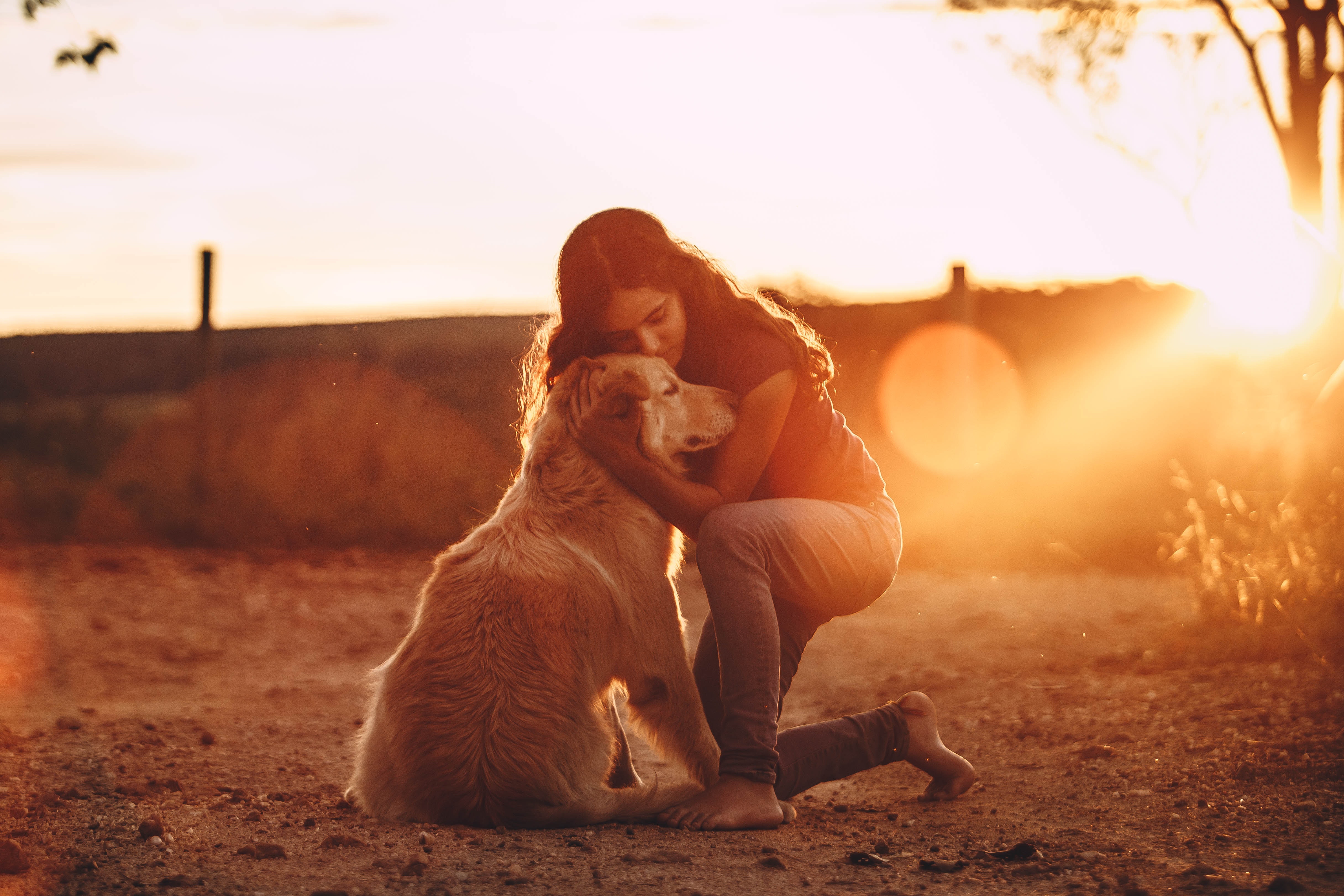 dog