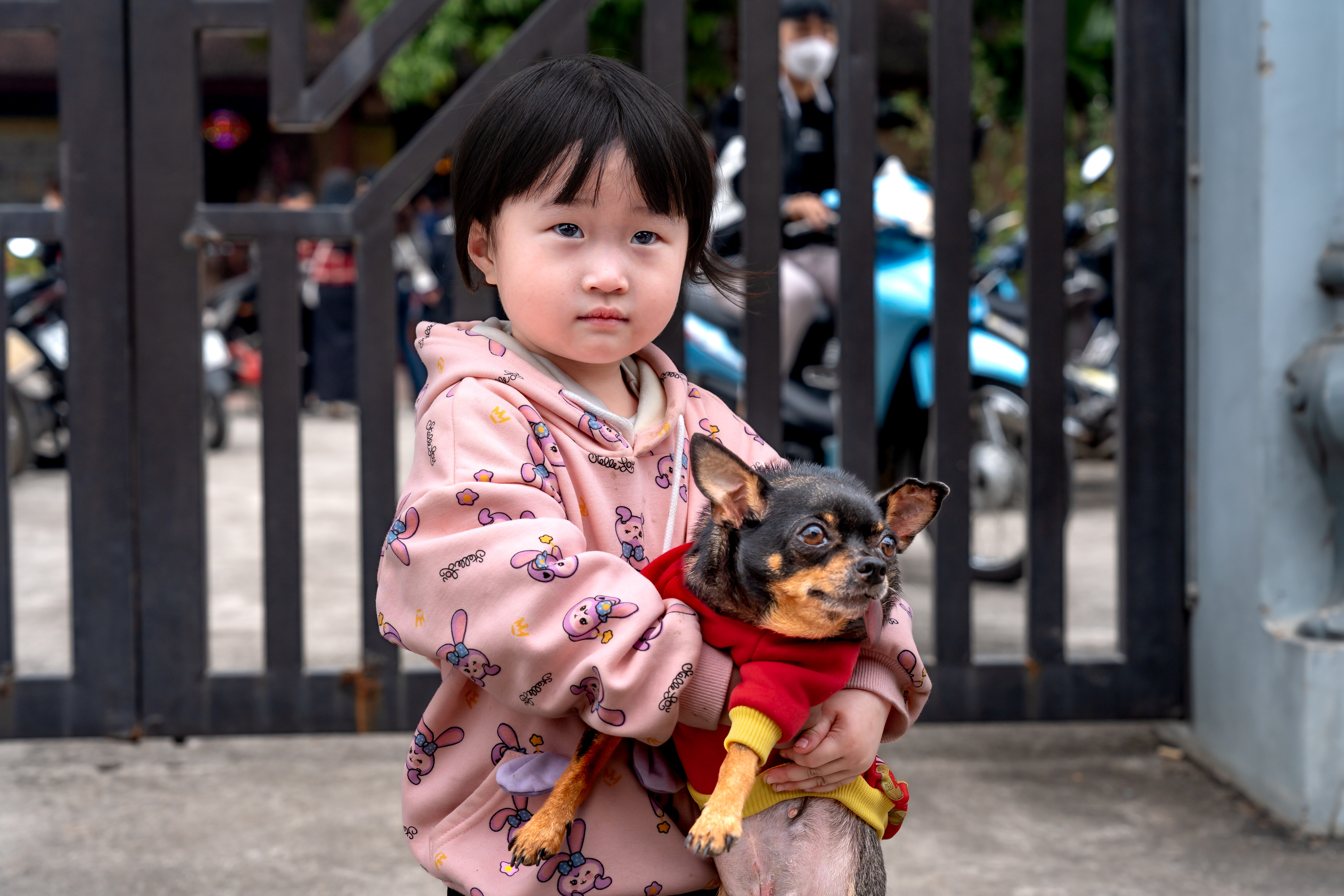 dog