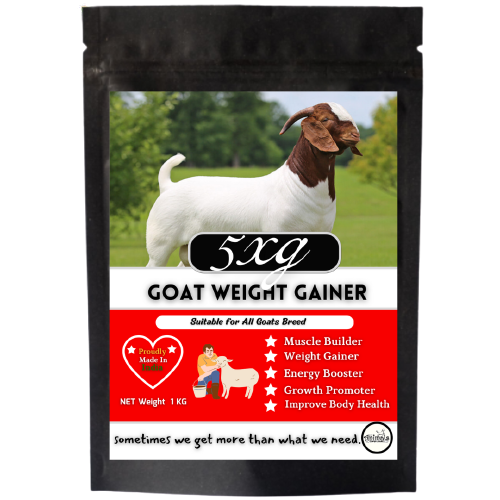 5xg